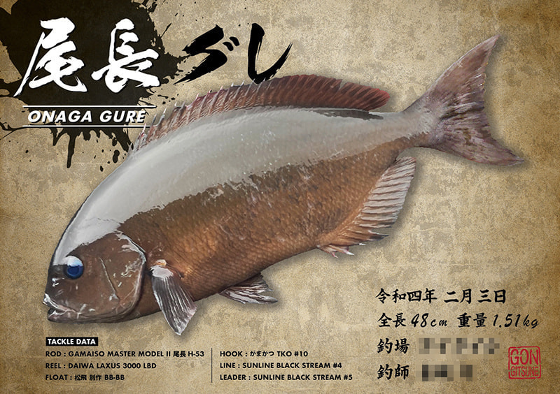 mamo_onaga-01_20221020145431566.jpg